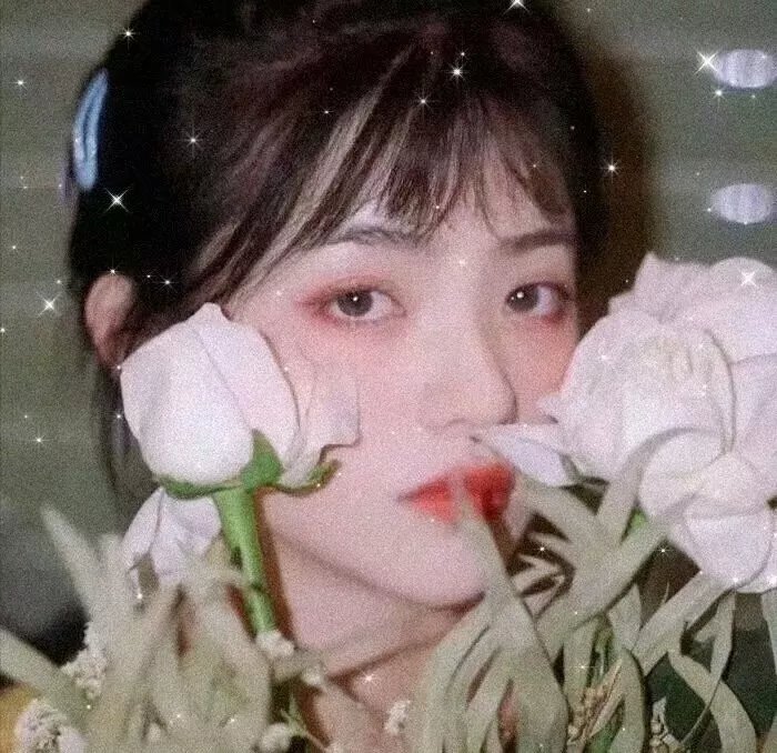 落水狗