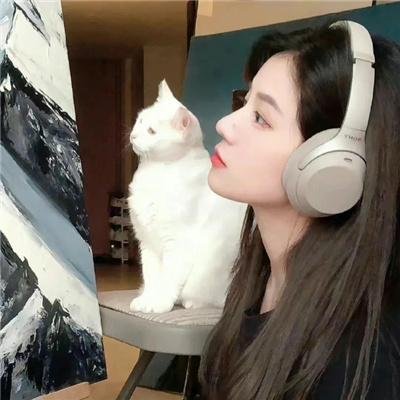 最后的飞行